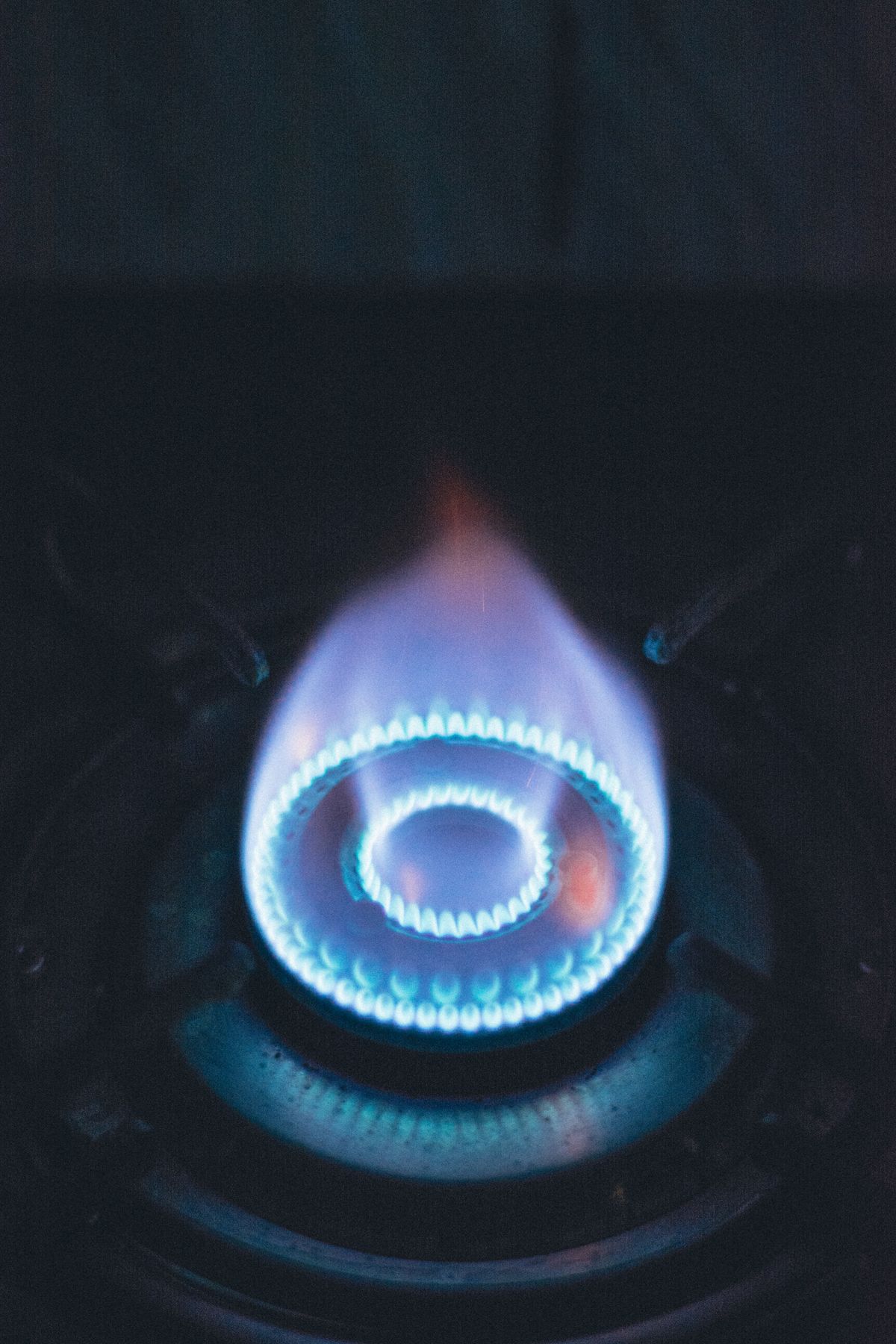 Close-up of a blue flame burning on a gas stove burner, showing proper gas combustion