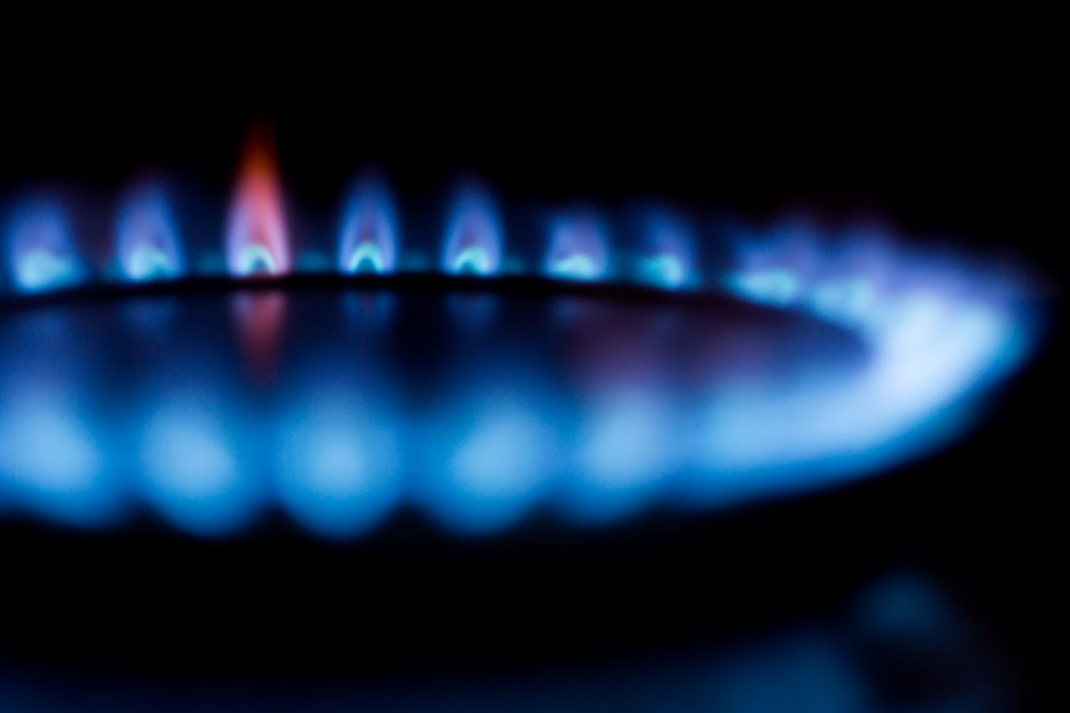 A steady blue gas flame on a burner, highlighting clean combustion